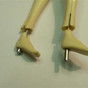 P1170175 (Small)
