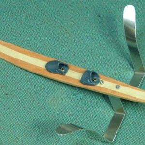 P1170183 (Small)