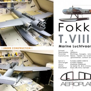 Fokker T_VIII W R-6 DeLooff Aeroplanes