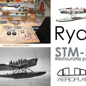 Ryan STM-S2 DeLooff Aeroplanes
