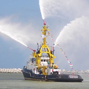 Zeehondb_zps46acf535