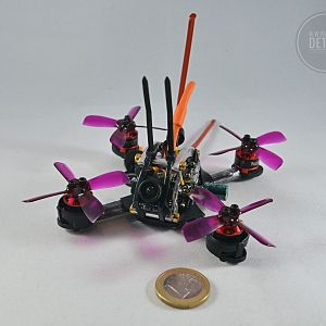 Flyegg100