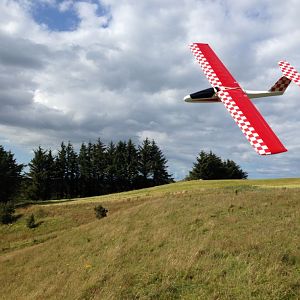 Ridgerunt_speedsterden