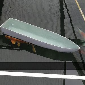 Boot Vijver