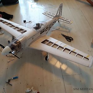 SFMmustang_9