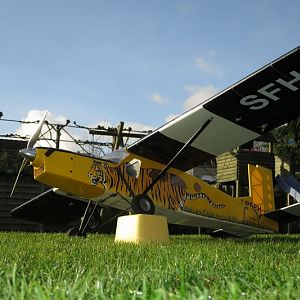 Pilatusporter4