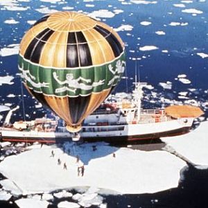 Calypso20Ant