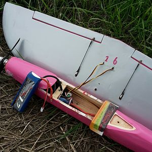 Mcs2
