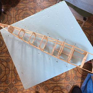 IMG_0230