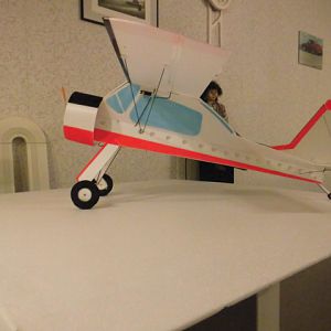 DSCI0010