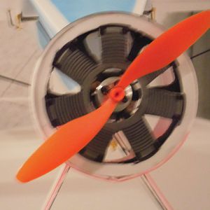 DSCI0007