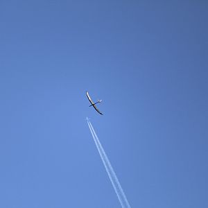 IMG_2791