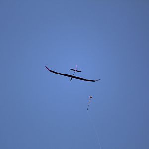 IMG_2793