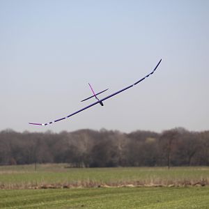 IMG_2799