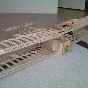 IMAG0570