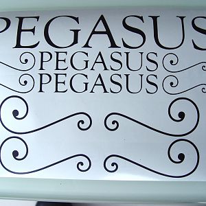 PEGASUS