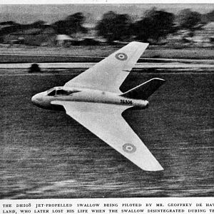 SWALLOW-003