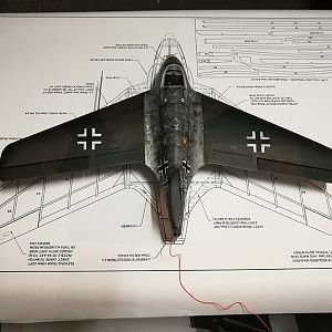 SWALLOW-005