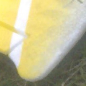 Knipsel