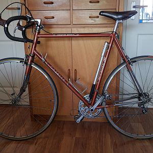 Gazelle Champion Mondial 1975