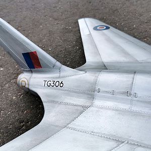 SWALLOW-161