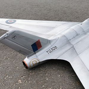 SWALLOW-163