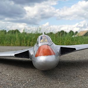 SWALLOW-172