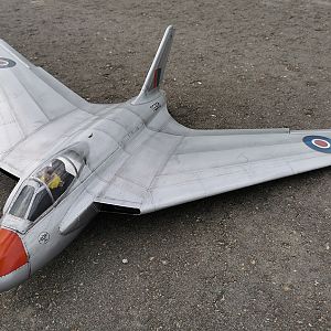SWALLOW-173
