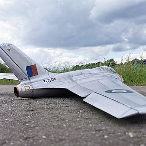 SWALLOW-174