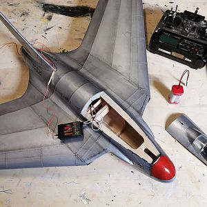 SWALLOW-175