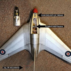 SWALLOW-176