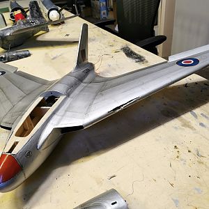 SWALLOW-183