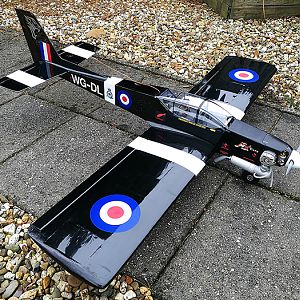 Tiger-215