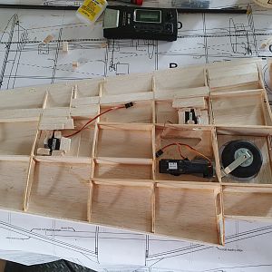 20210801_170936 (Large)