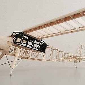 Fieseler_Storch__083