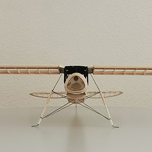 Fieseler_Storch__087