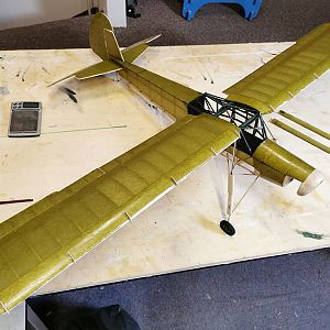 Fieseler_Storch__113