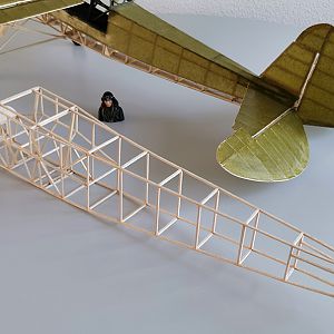 Fieseler_Storch__131