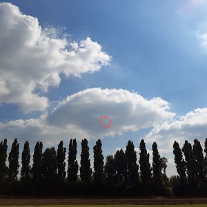 20210825_144224~2
