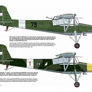 Fieseler_Storch__214