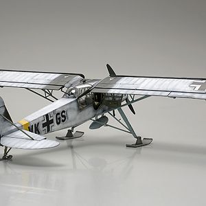 Fieseler_Storch__225