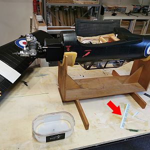 Chipmunk_RDW-01