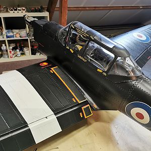 Chipmunk_RDW-03