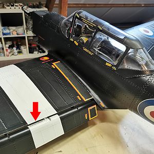 Chipmunk_RDW-04
