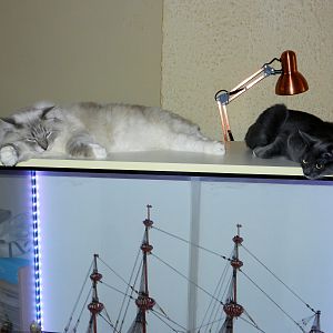 DSCN4591