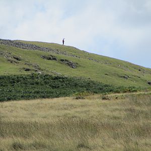IMG_3805