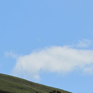 Up There...