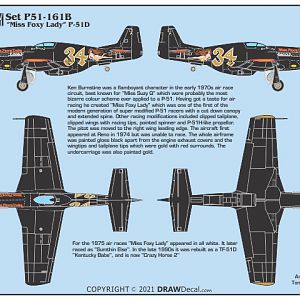 Ornithos_P-51__039