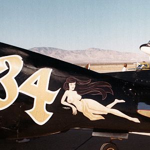 Ornithos_P-51__041