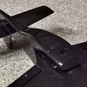 Ornithos_P-51__052